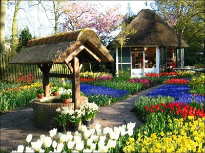 荷兰_荷兰：花园般迷人的国度(图)_乐途旅游网