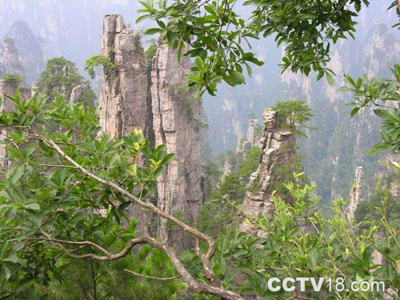 马仁奇峰森林旅游区风景图