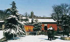 广济寺风景图