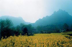 马仁山风景图