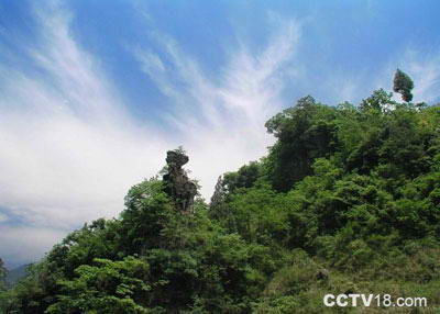 三峡人家风景区风景图