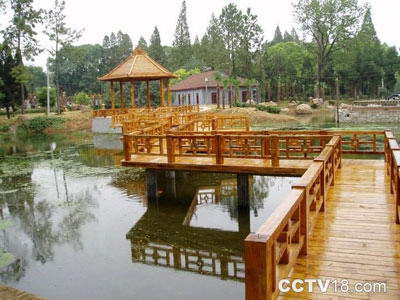 应城汤池温泉风景图