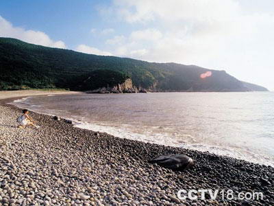 花岙石林海滨度假村