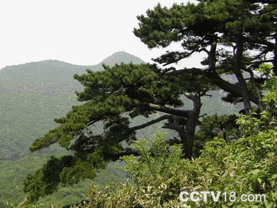 黄浦江源龙王山