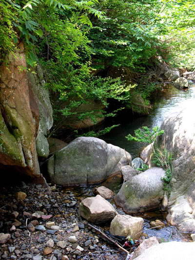 大龙山