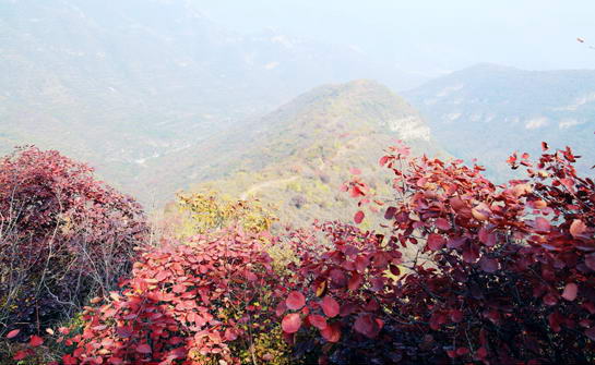 天门山风景区