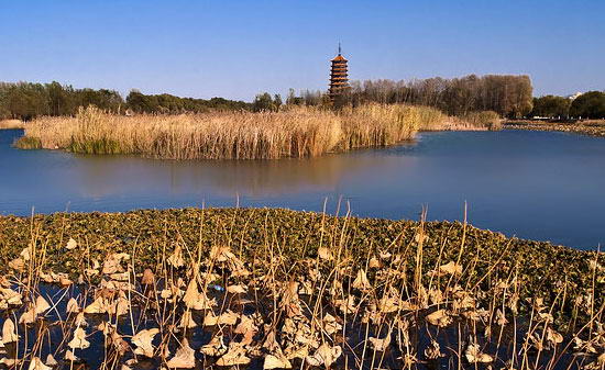 妫海远航景区