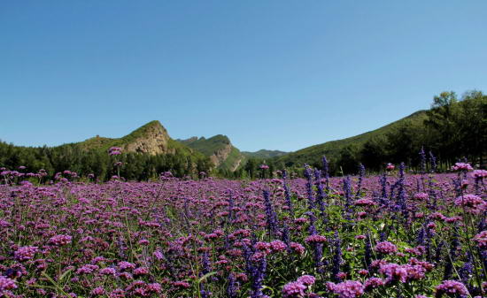 延庆百里山水画廊