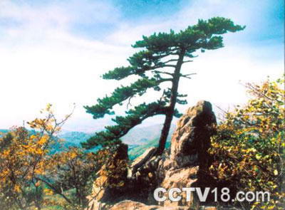 城子山风景区