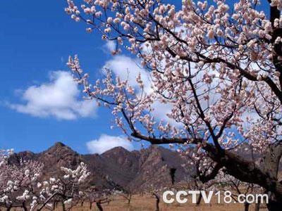 虹螺山风景区