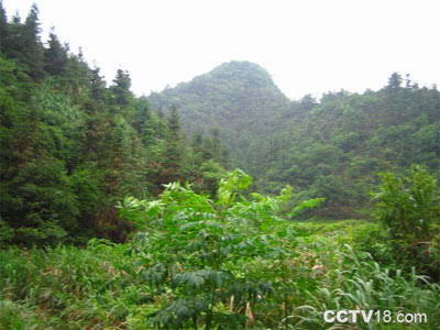 福寿山风景名胜区