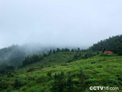 连云山休闲度假区