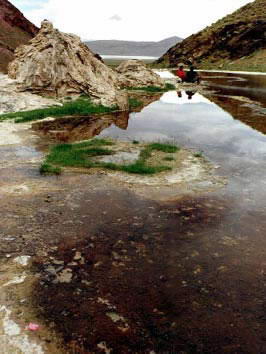 绒玛岩画和温泉