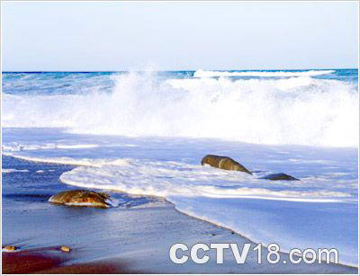 注文津海水浴场