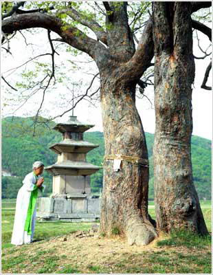 感恩寺址