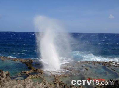 喷水海岸