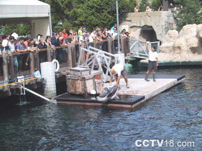 温哥华水族馆