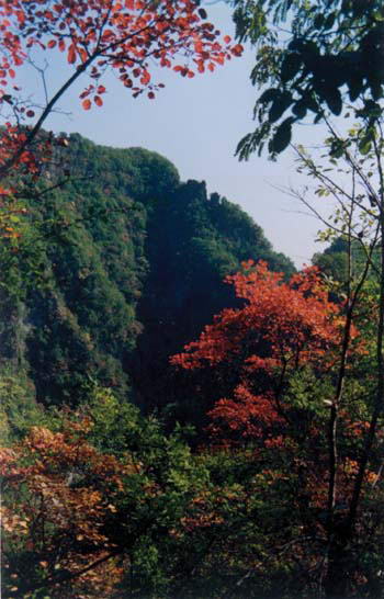 蟒河风景区风景图