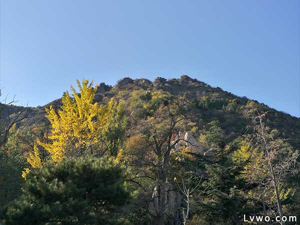 北京鹫峰国家森林公园