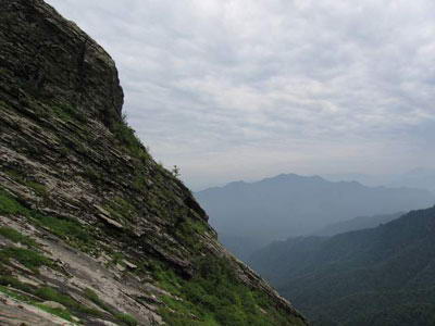 朱雀山森林公园风景图