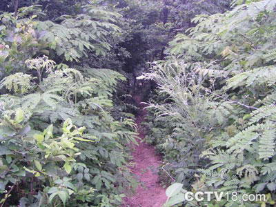 磨盘山风景图