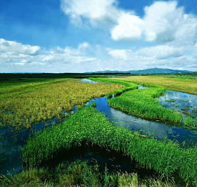 三江自然湿地保护区风景图