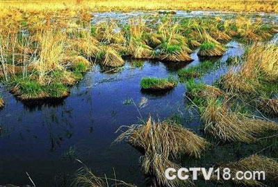 乌苏里江风景图