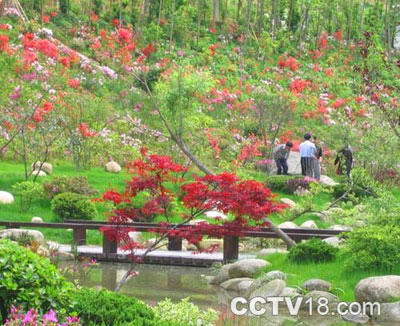 领袖峰景区风景图