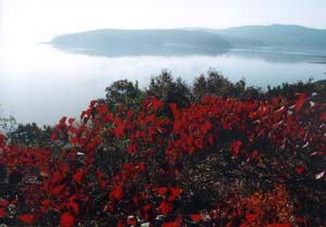 薄山湖风景区风景图