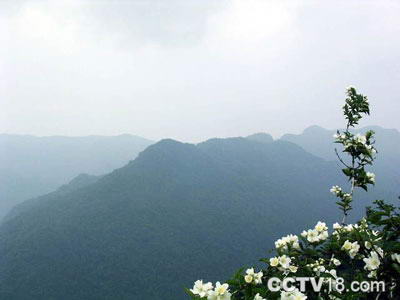 大洪山风景图