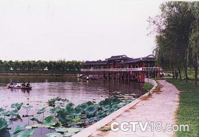 洪湖蓝田生态园风景图