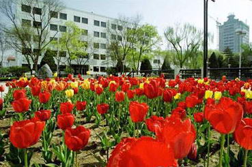 西北师范大学风景图