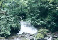威虎山森林公园风景图