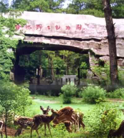 合肥野生动物园风景图