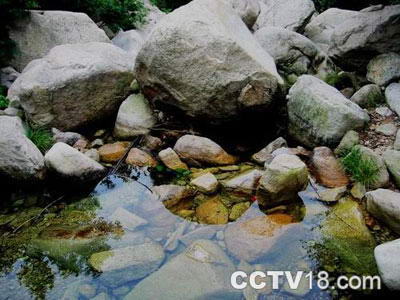 祖山原始森林峡谷风景图