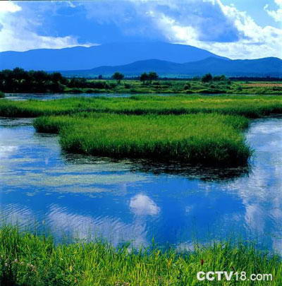 三江自然湿地保护区风景图