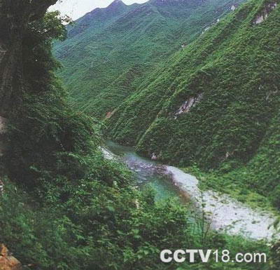 神农峡风景区风景图