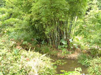 大埔滘自然保护区